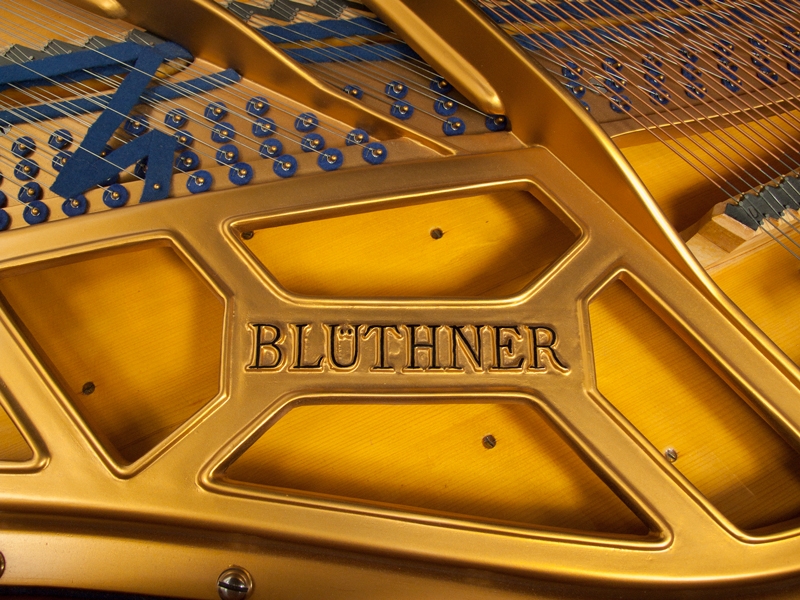 Bluthner IVa Aliquot