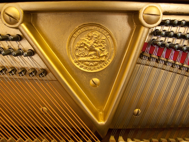 Bechstein IV  (4)