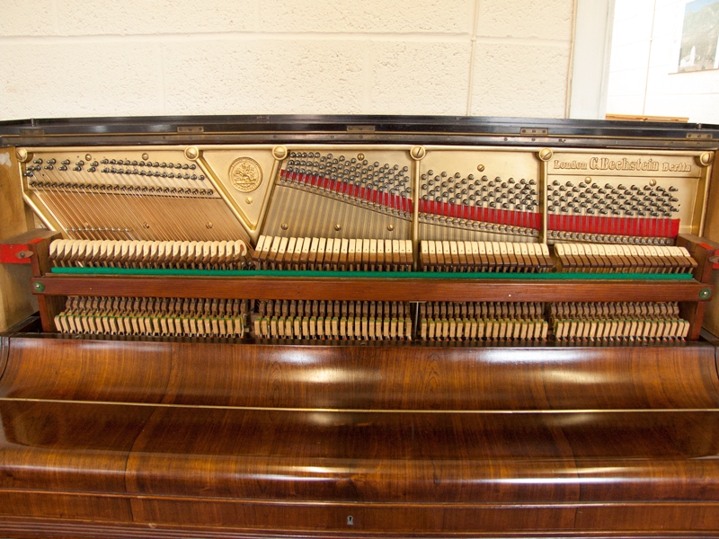 Bechstein IV  (4)