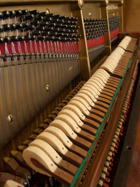 Bechstein IV  (4)