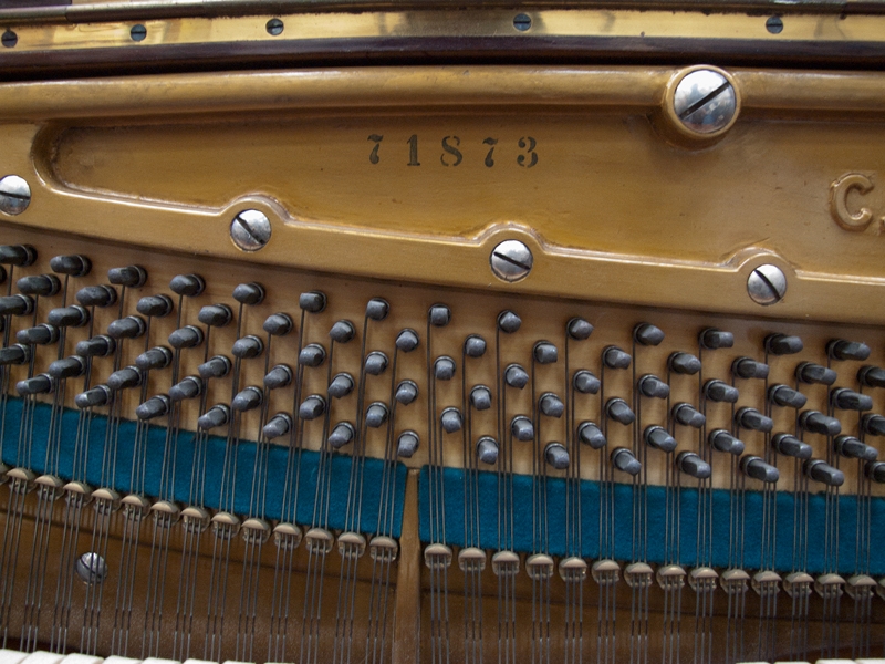 Bechstein model 8