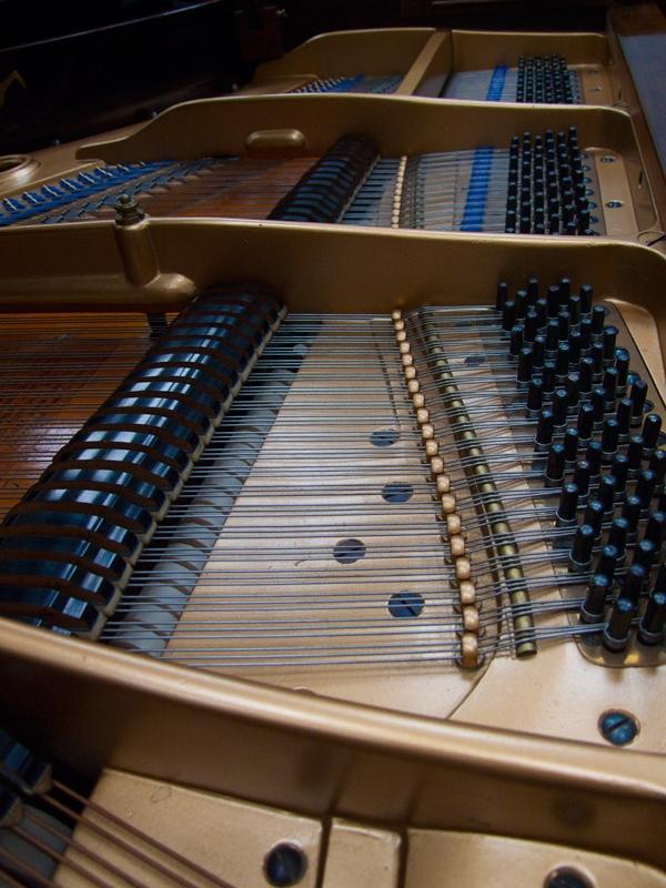 Bluthner style V grand Piano in Rosewood – Gallery image – Roberts Pianos Oxford