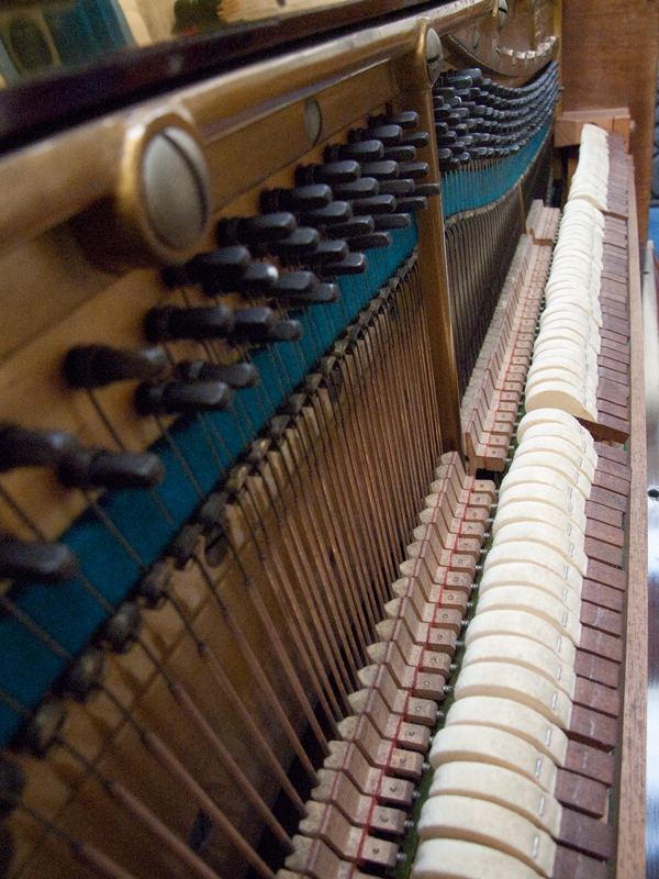 Bechstein 10