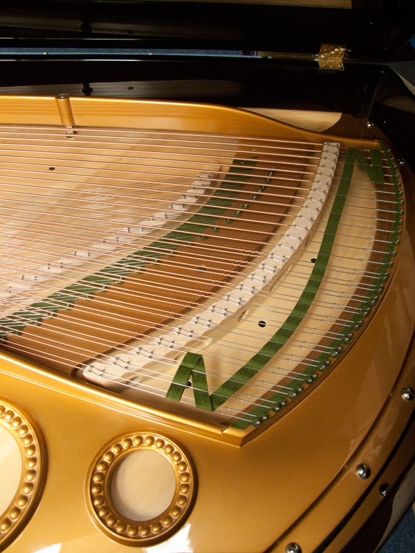 Bechstein V (5)