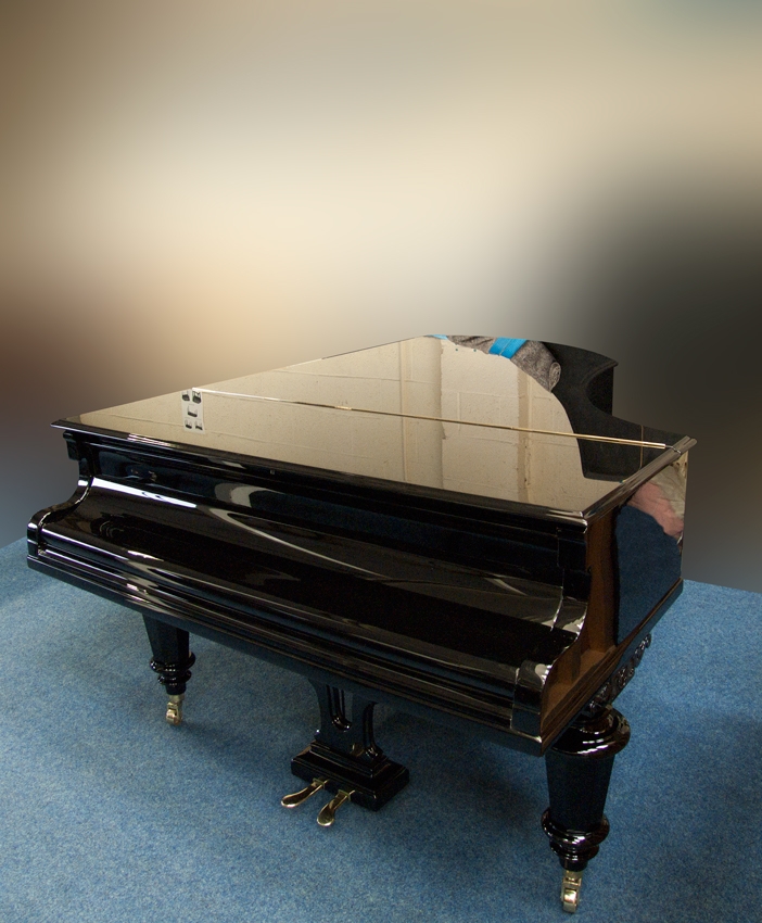 Bechstein V (5)