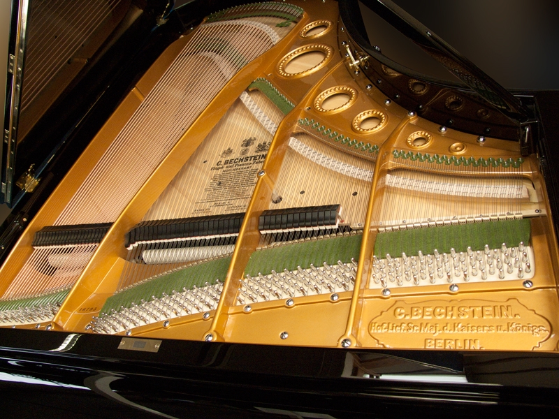 Bechstein V (5)