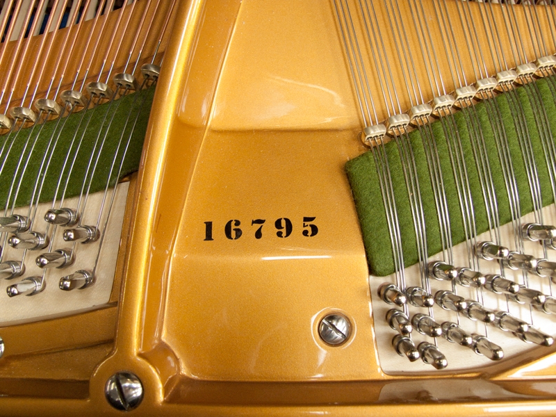 Bechstein V (5)