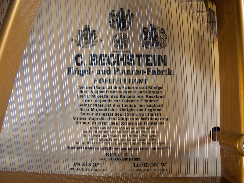 Bechstein V (5)