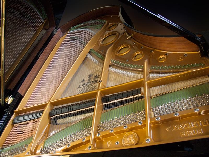 Bechstein V (5)