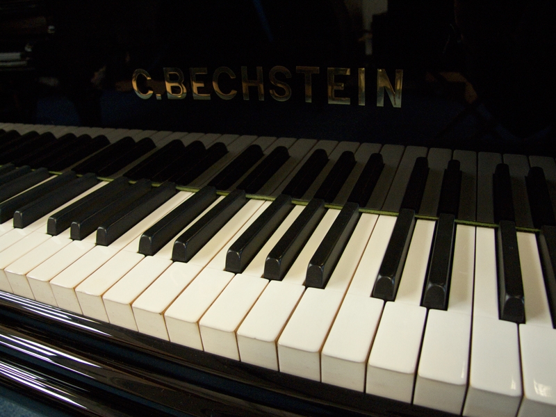 Bechstein V (5)