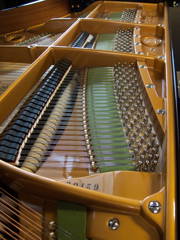 Bechstein V (5)