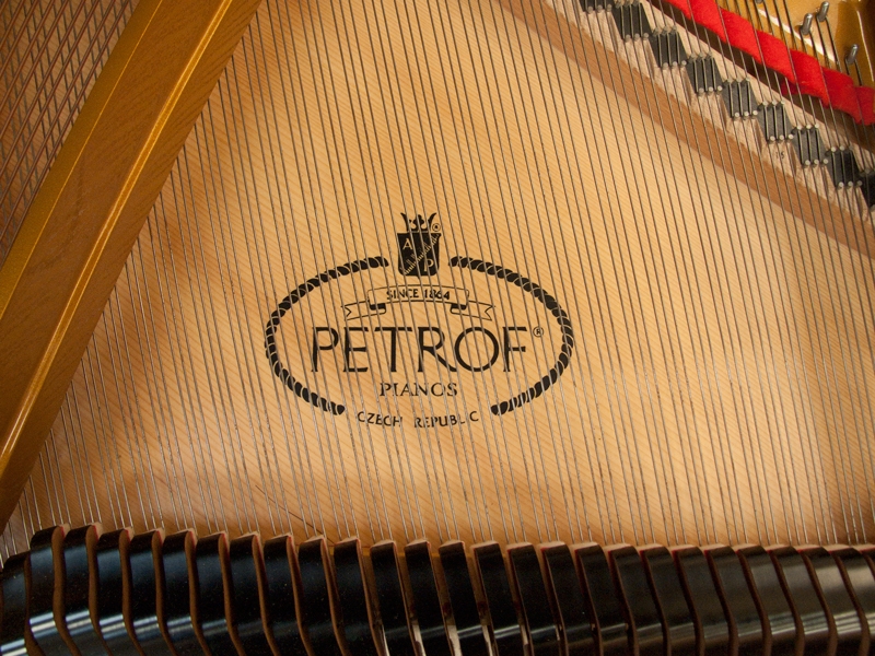 Petrof 172