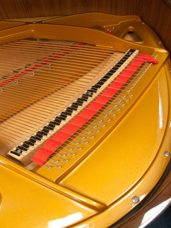 Petrof 172 grand Piano in walnut/ polyester – Gallery image – Roberts Pianos Oxford