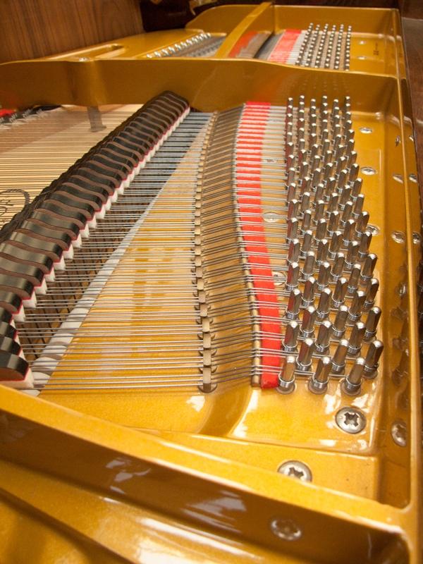 Petrof 172 grand Piano in walnut/ polyester – Gallery image – Roberts Pianos Oxford