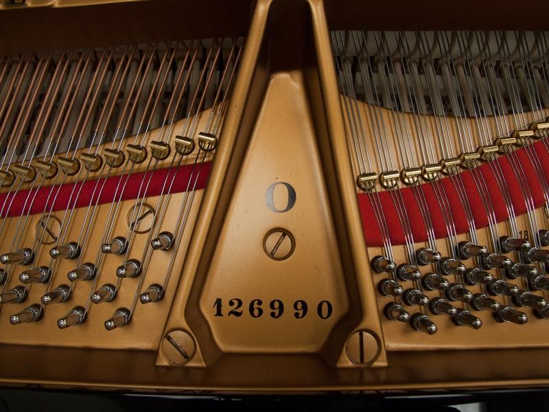 Steinway O grand Piano in bright-black – Gallery image – Roberts Pianos Oxford