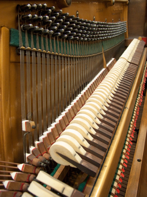 Bechstein III