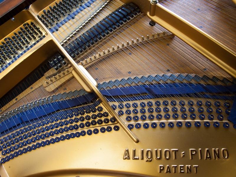 Bluthner VIII Aliquot grand Piano in rosewood – Gallery image – Roberts Pianos Oxford