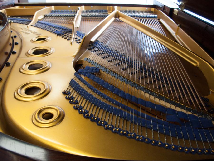 Bluthner VIII Aliquot grand Piano in rosewood – Gallery image – Roberts Pianos Oxford