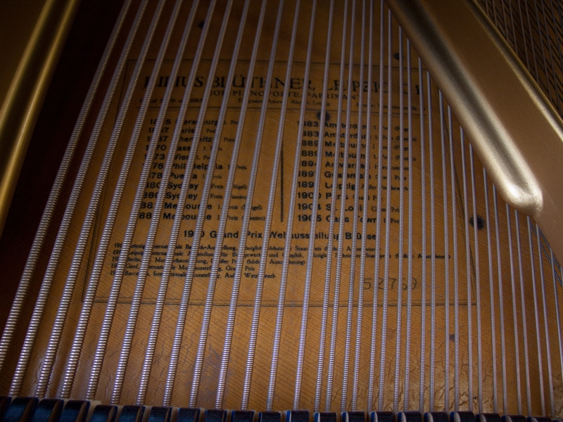 Bluthner VIII   Aliquot