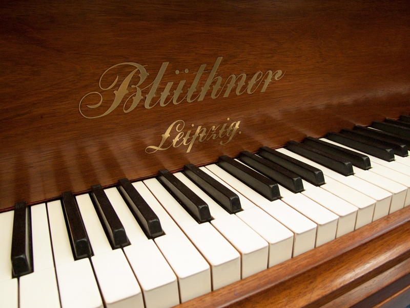 Bluthner VI (6)