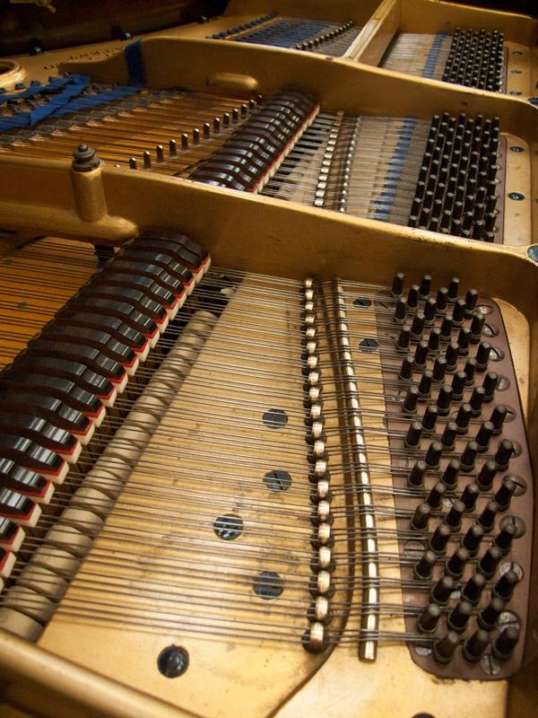 Bluthner VI (6) grand Piano in rosewood – Gallery image – Roberts Pianos Oxford
