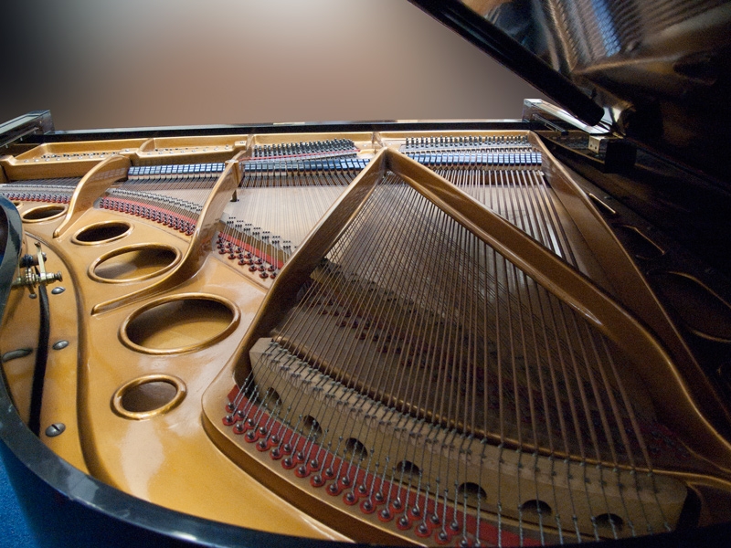 Bosendorfer 170