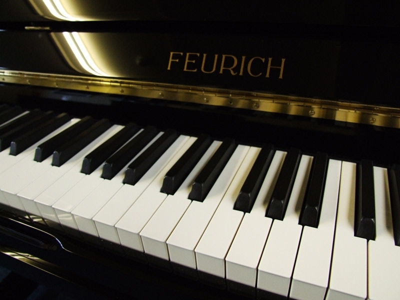 Feurich 133