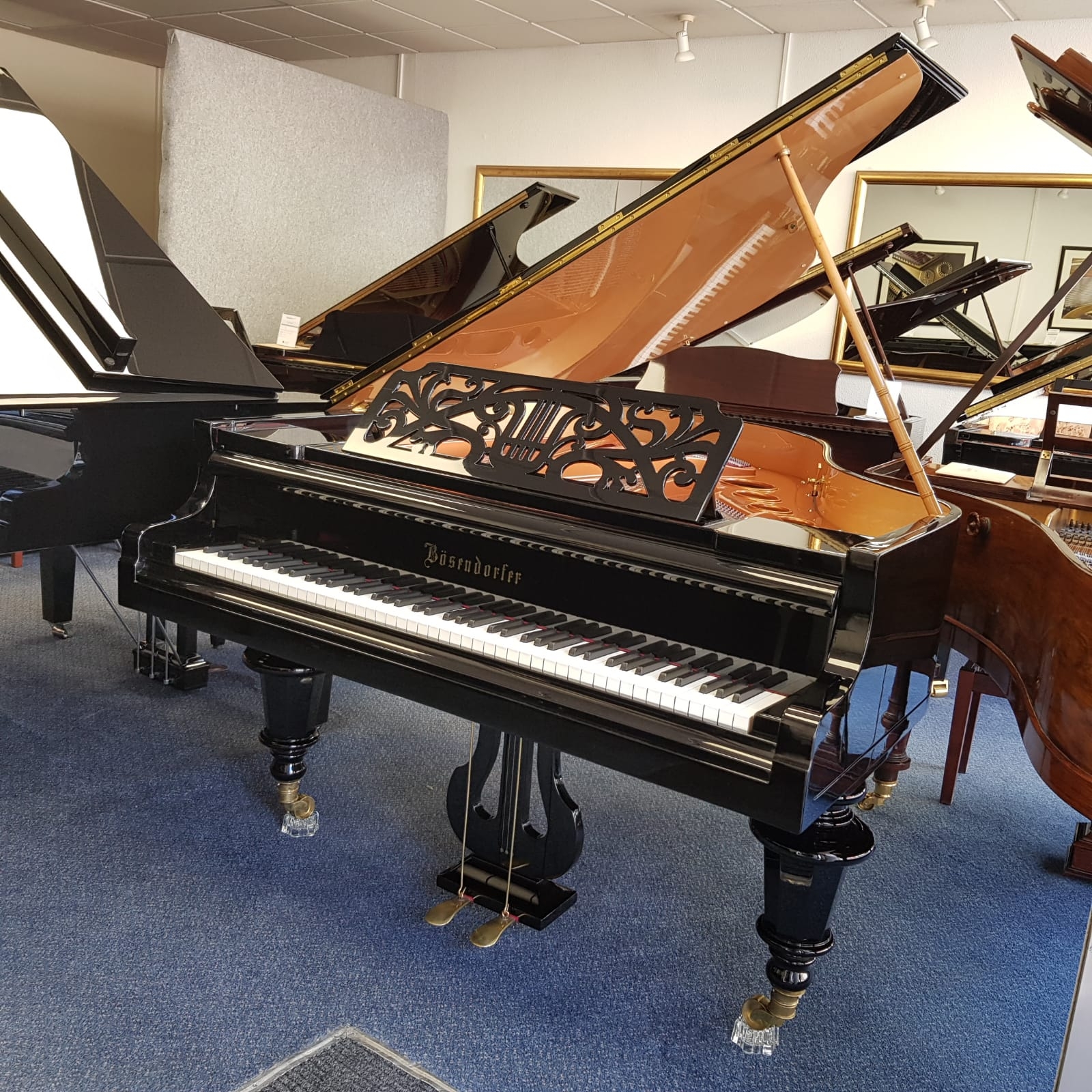 Bosendorfer 170
