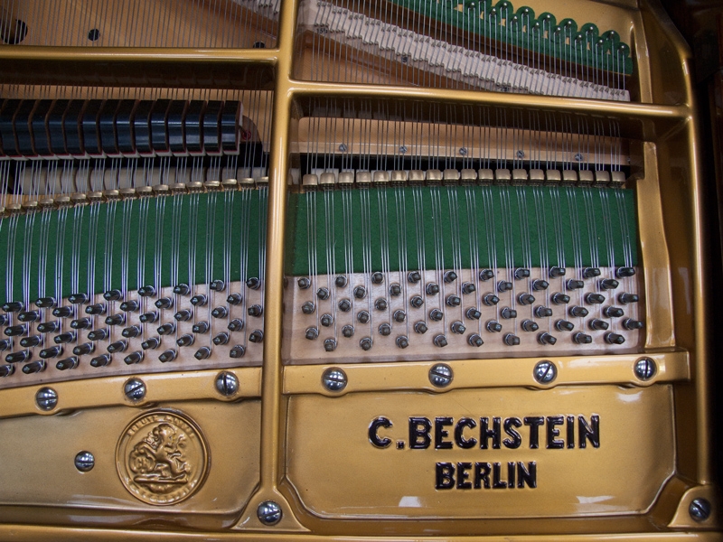 Bechstein V