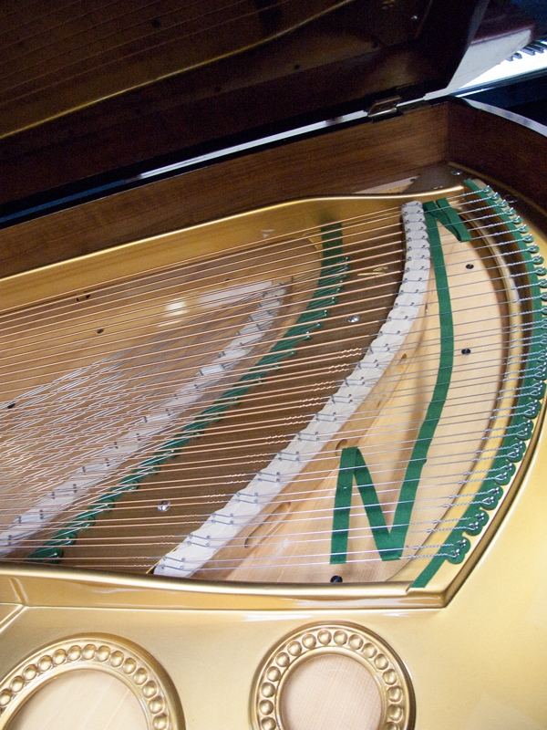 Bechstein V