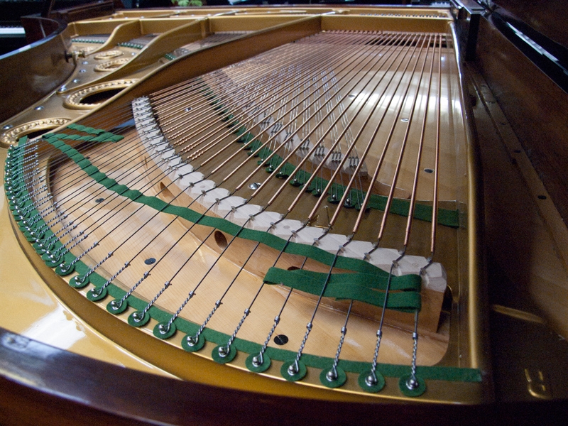 Bechstein V