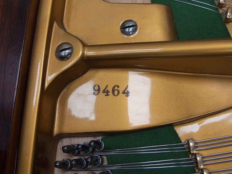 Bechstein V