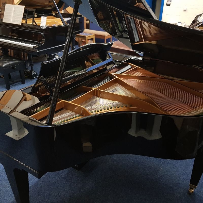 Bechstein S baby