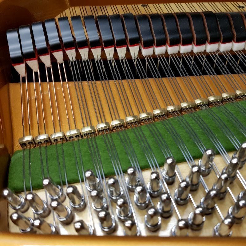 Bechstein S baby