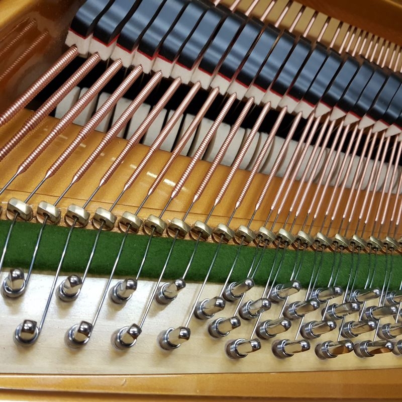 Bechstein S baby
