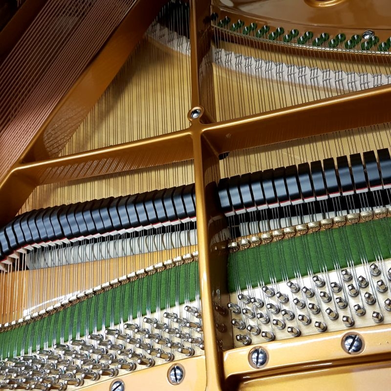 Bechstein S baby