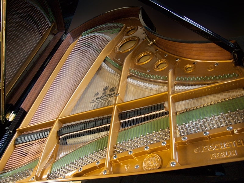 Bechstein V (5)