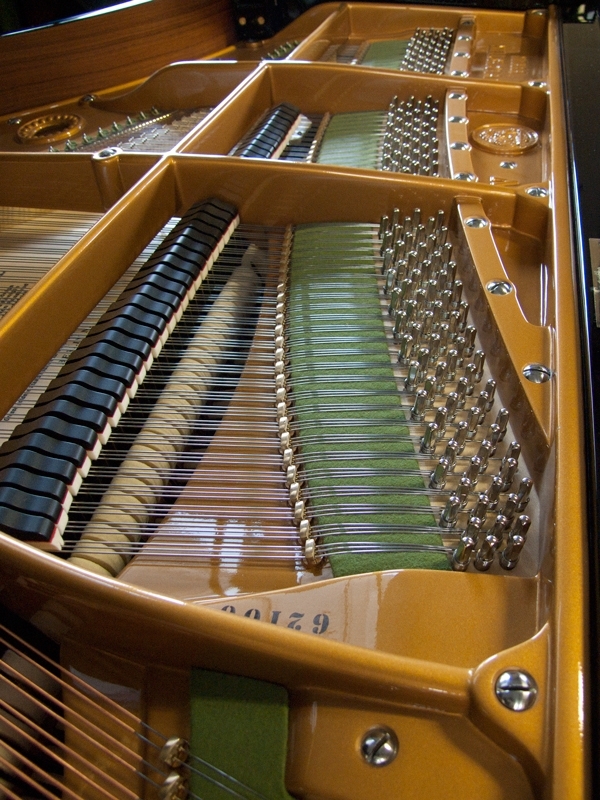 Bechstein V (5)