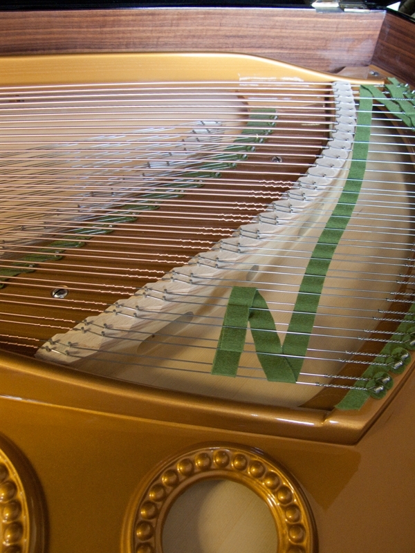 Bechstein B