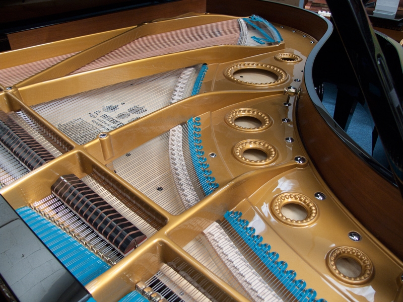 Bechstein V/B
