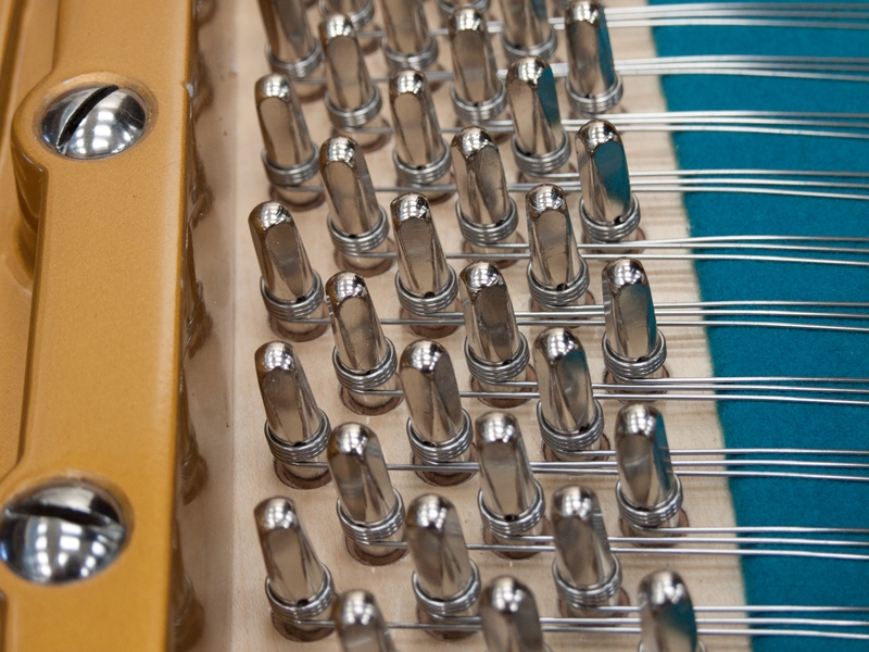 Bechstein V/B
