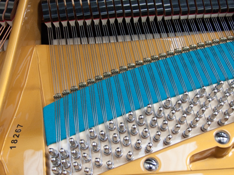 Bechstein V/B