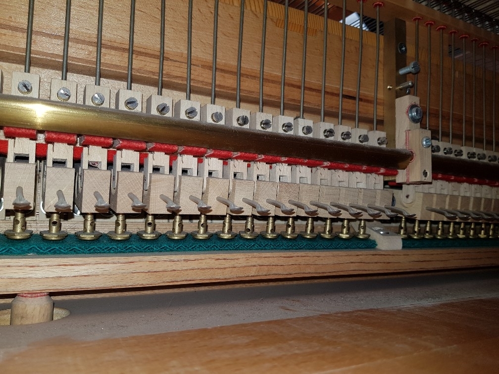 Seiler Florenz 180