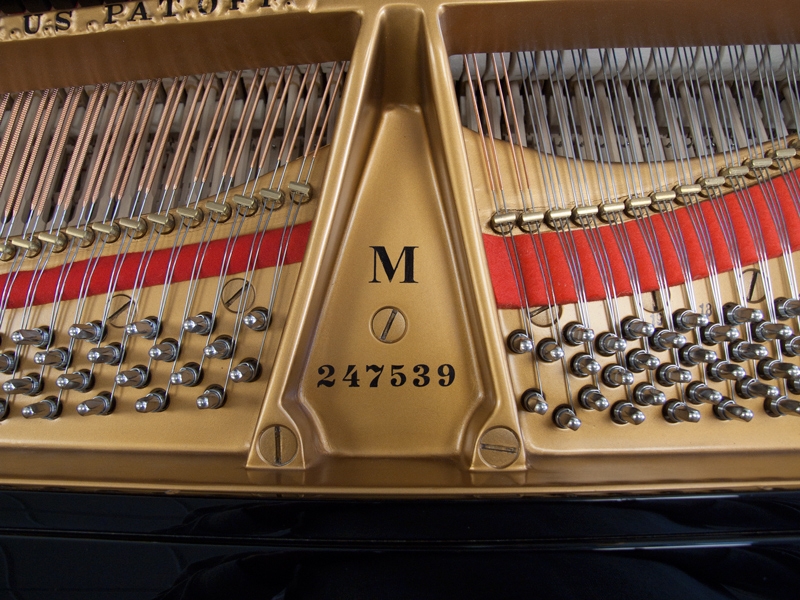 Steinway M