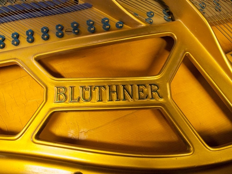 Bluthner IV