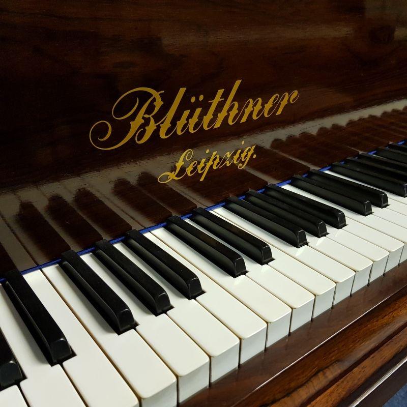 Bluthner Style 9 grand Piano in rosewood – Gallery image – Roberts Pianos Oxford