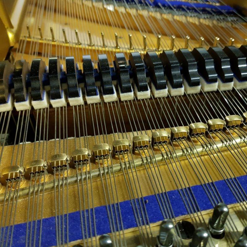 Bluthner Style 9 grand Piano in rosewood – Gallery image – Roberts Pianos Oxford
