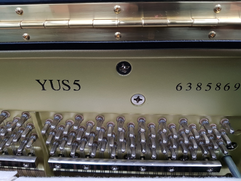 Yamaha YUS5