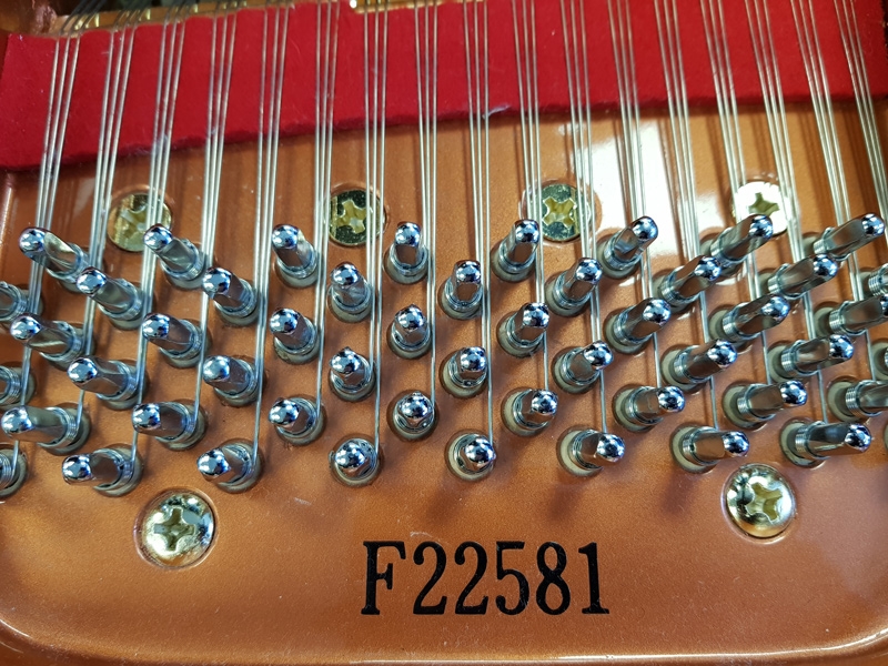 Feurich 179