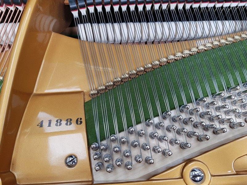 Bechstein V (5) grand Piano in bright black – Gallery image – Roberts Pianos Oxford